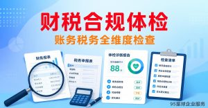 财税合规体检方案